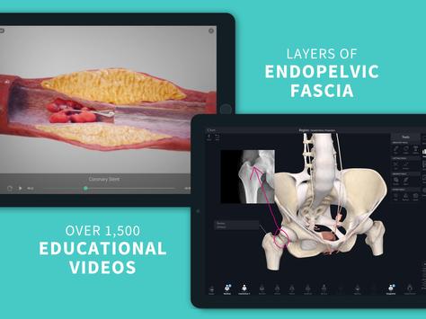 Complete Anatomy ‘21 - 3D Human Body Atlas 截图 22