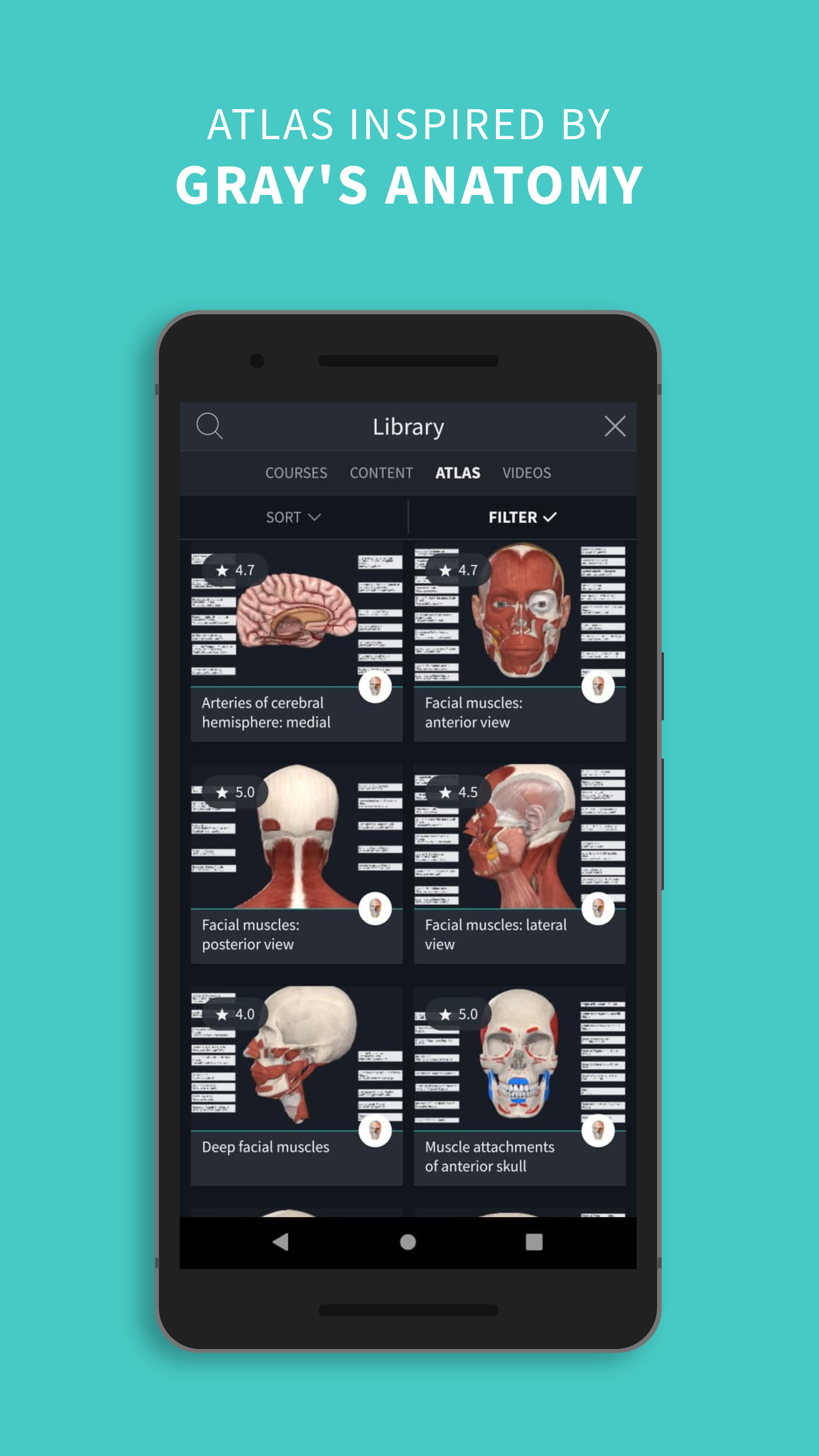 Complete Anatomy 2024 APK 10.0.0安卓下載 Anatomy 2024 XAPK