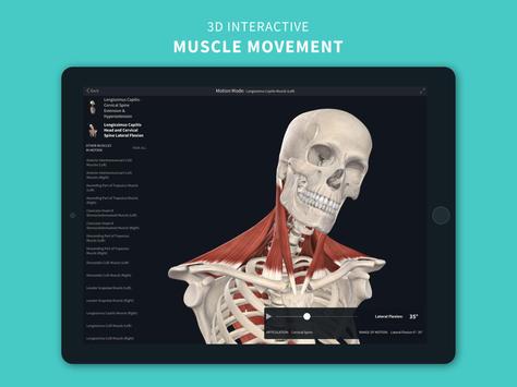 Complete Anatomy ‘21 - 3D Human Body Atlas 截图 8