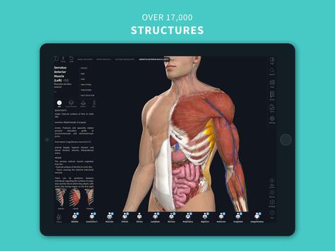 Complete Anatomy ‘21 - 3D Human Body Atlas 截图 9