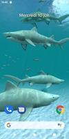 Requins 3D - Live Wallpaper capture d'écran 1
