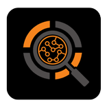 FBC14 Algorithm App - New Crypto Trading System