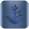 APK Coral