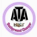 ATA MLBG Changer Help