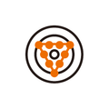 PONGConnect