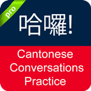 Cantonese Conversation APK