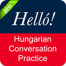 Hungarian Conversation APK