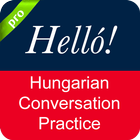 Hungarian Conversation icône