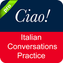 Italian Conversation APK