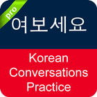 Korean Conversation icône