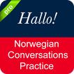 Norwegian Conversation