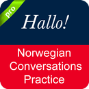 Norwegian Conversation APK