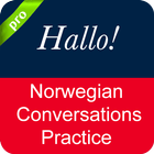 Norwegian Conversation icône