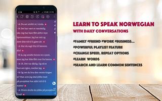 Norwegian Conversation Affiche