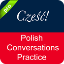 Polish Conversation APK