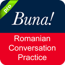Romanian Conversation APK