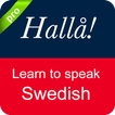 Swedish Conversation