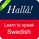 Swedish Conversation-APK