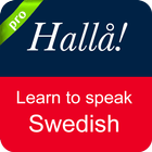 Swedish Conversation icône
