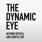 The Dynamic Eye آئیکن