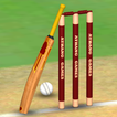 Cricket World Domination 2025 圖標