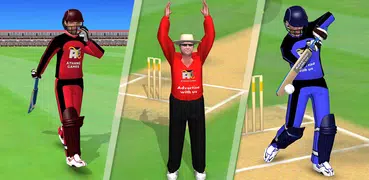 Smashing Cricket
