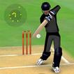 ”Smashing Cricket: cricket game