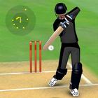 Smashing Cricket