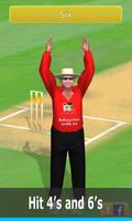 Smashing Cricket ảnh chụp màn hình 1