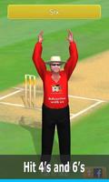 Smashing Cricket imagem de tela 1
