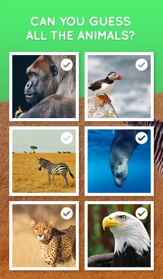 Guess the Animal Picture - Free Quiz Game APK for Android Download