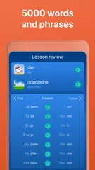 Learn Czech. Speak Czech XAPK download