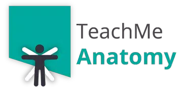 Teach Me Anatomy