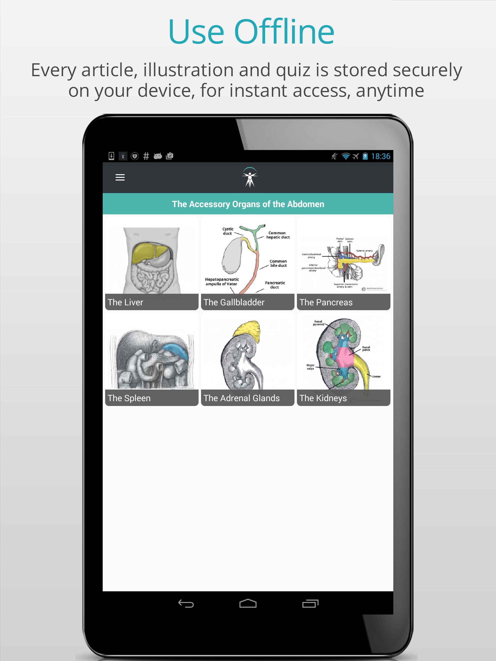 Teach Me Anatomy for Android - APK Download