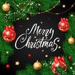 Merry Christmas Best Wishes 2020