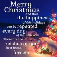 برنامه‌نما Merry Christmas Best Wishes 2020 عکس از صفحه