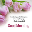 Everyday Best Morning Wishes
