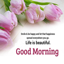 Everyday Best Morning Wishes APK
