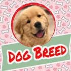 Dog Breed icône