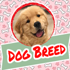 Dog Breed आइकन