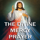 The Daily Divine Mercy icône