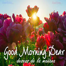 Everyday Latin Morning Wishes APK