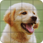 Puzzle - Dogs and Puppies icône