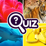 Zoom Quiz: Close Up Pics Quiz