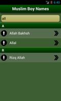 Islamic Baby Names & Meanings imagem de tela 3