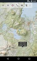 New Zealand Topo Maps ポスター