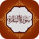 سورة البقرة كاملة بدون انترنت APK