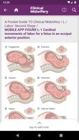 Guide to Clinical Midwifery تصوير الشاشة 1