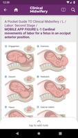 Guide to Clinical Midwifery اسکرین شاٹ 1