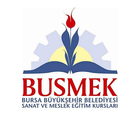 Busmek icono